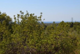 Foto 15