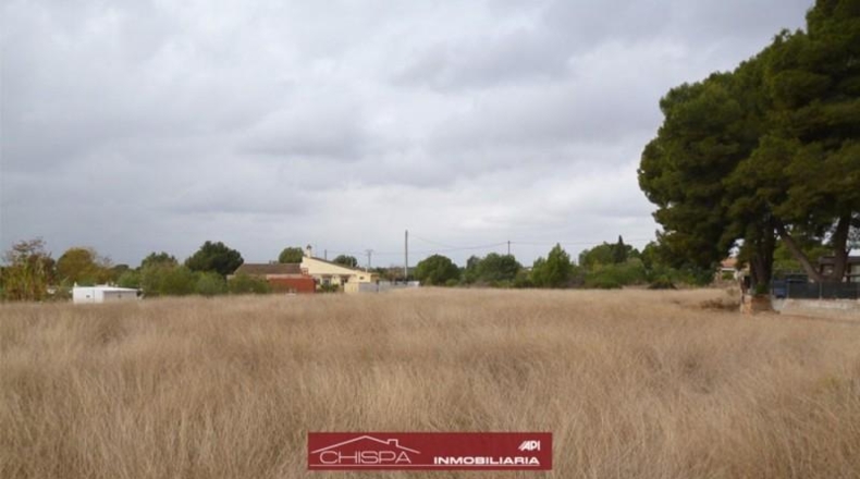 València - Náquera - 5000m2