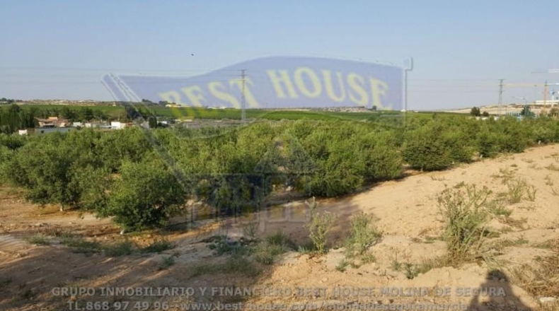 Murcia - Las Torres de Cotillas - 45500m2