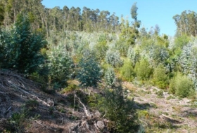 Bueu 32815&nbsp;m²