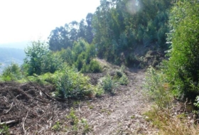 Bueu 32815&nbsp;m²