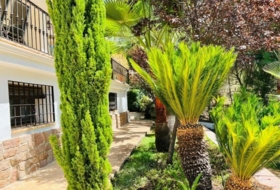 Foto 7