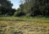 Parcela urbanizable en venta en la España, Villaquilambre, ref: TR130770 foto