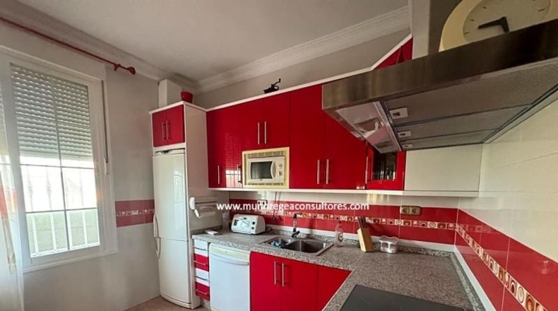 Córdoba - Moriles - 1200m2