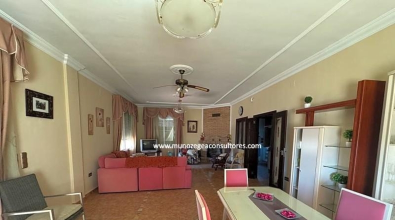 Córdoba - Moriles - 1200m2