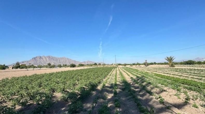 Alicante - Granja de Rocamora - 400000m2