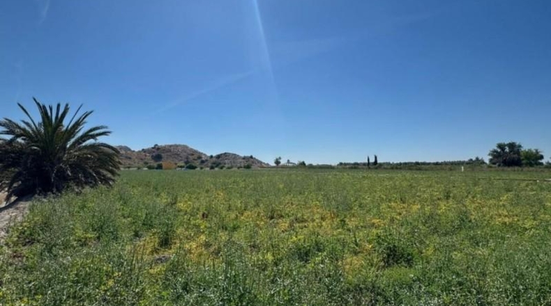 Alicante - Granja de Rocamora - 400000m2