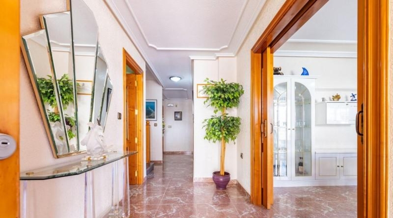 Murcia - Cartagena - 611m2