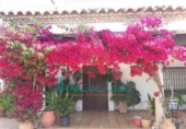Chalet independiente con terreno en venta en la España, Alcolea, ref: TR377577 foto