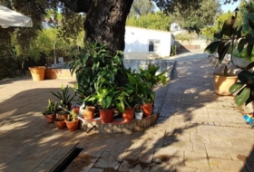 Casar de Cáceres 3000&nbsp;m²