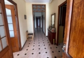 Chalet independiente con terreno en venta en la España, Elche, ref: TR395309 foto