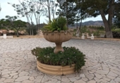 Casa de campo con terreno en venta en la España, Lorca, ref: TR162360 foto