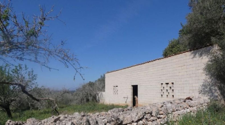 Islas Baleares - Costitx - 61793m2