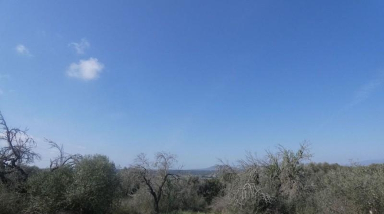 Islas Baleares - Costitx - 61793m2