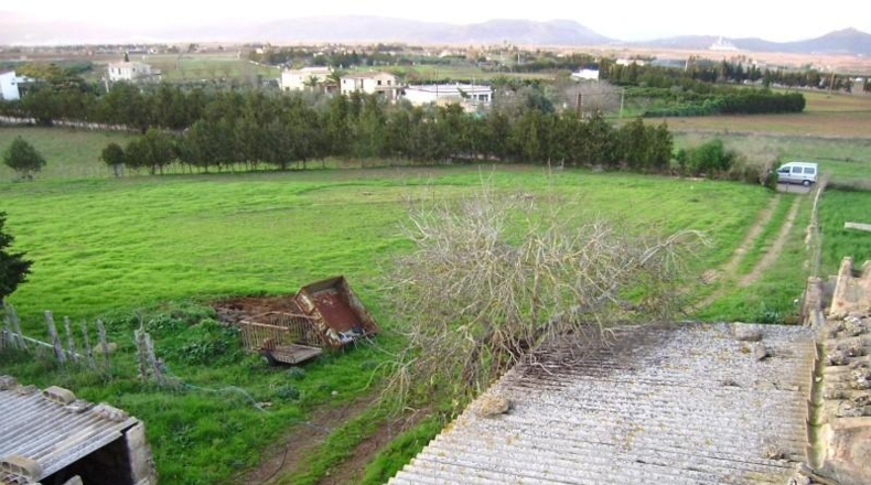 Islas Baleares - Santa Margalida - 31235m2