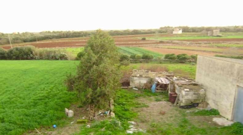 Islas Baleares - Santa Margalida - 31235m2