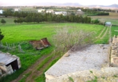 Detached villa with land for sale on España, Muro, ref: TR153433 photo