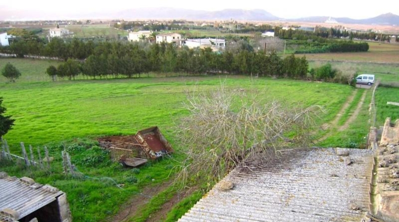 Islas Baleares - Santa Margalida - 31235m2