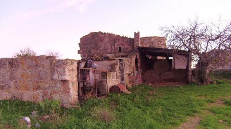 Islas Baleares - Santa Margalida - 31235m2