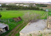 Detached villa with land for sale on España, Muro, ref: TR153433 photo