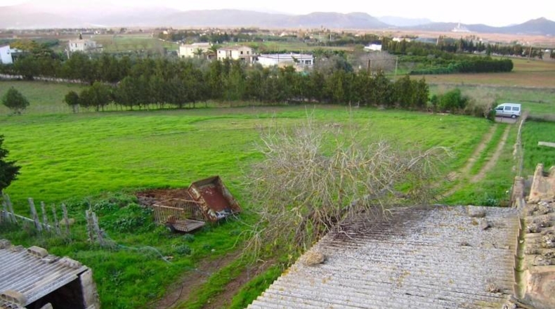 Islas Baleares - Santa Margalida - 31235m2