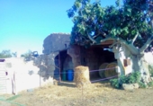 Detached villa with land for sale on España, Muro, ref: TR153433 photo