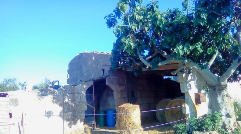 Islas Baleares - Santa Margalida - 31235m2
