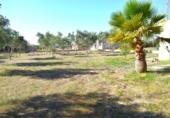 Detached villa with land for sale on España, Muro, ref: TR171914 photo