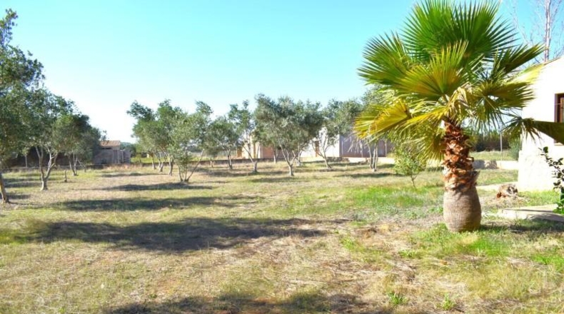 Balearic Islands - Muro - 6719m2