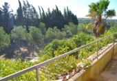 Detached villa with land for sale on España, Muro, ref: TR171914 photo