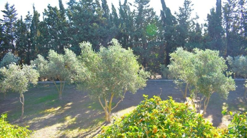 Balearic Islands - Muro - 6719m2