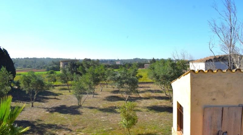 Balearic Islands - Muro - 6719m2