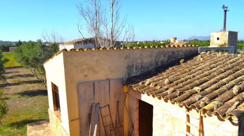 Balearic Islands - Muro - 6719m2