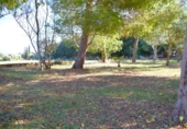 Detached villa with land for sale on España, Muro, ref: TR171914 photo