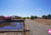 Detached villa with land for sale on España, Torrellano, ref: TR337757 photo