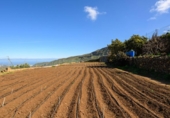 Finca rústica en venta en la España, Valsequillo, ref: TR317696 foto