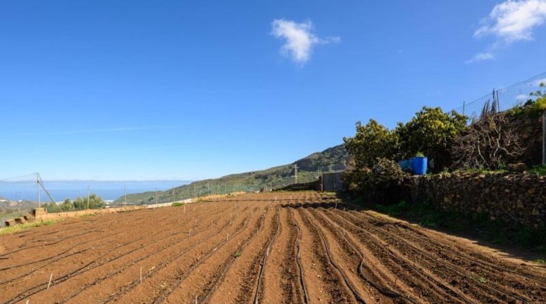 Las Palmas - Valsequillo - 5500m2