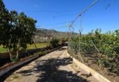 Finca rústica en venta en la España, Valsequillo, ref: TR317696 foto