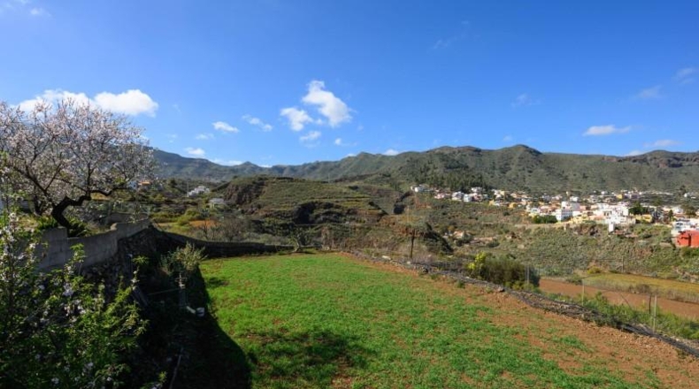 Las Palmas - Valsequillo - 5500m2