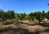 Finca rústica en venta en la España, Valsequillo, ref: TR317696 foto