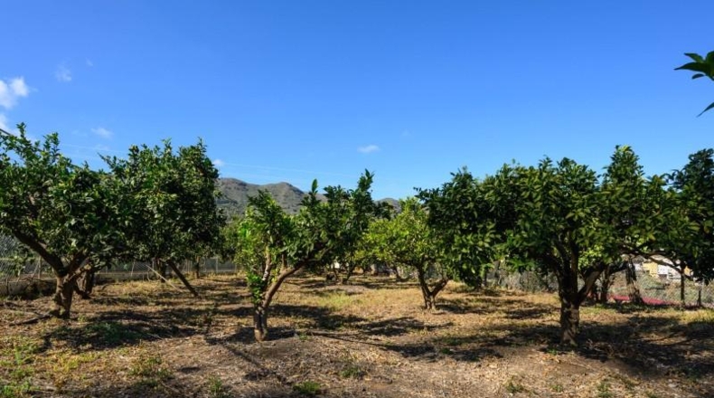 Las Palmas - Valsequillo - 5500m2