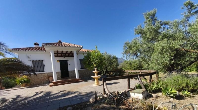 Malaga - Colmenar - 25000m2