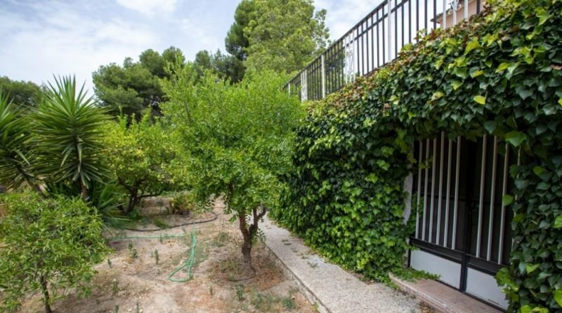 Murcia - Las Torres de Cotillas - 1091m2