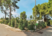 Suelo urbano en venta en la España, Alcúdia, ref: TR113142 foto