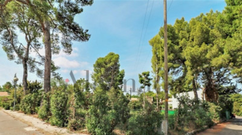 Balearic Islands - Alcudia - 1004m2