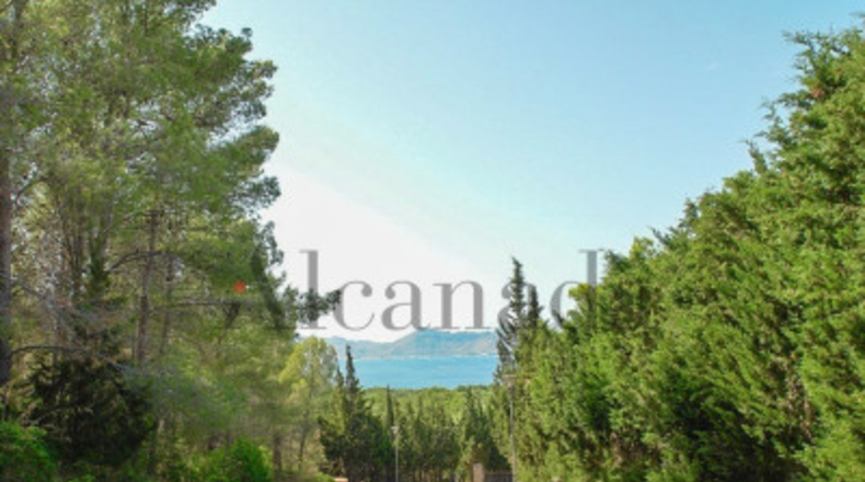 Balearic Islands - Alcudia - 1004m2