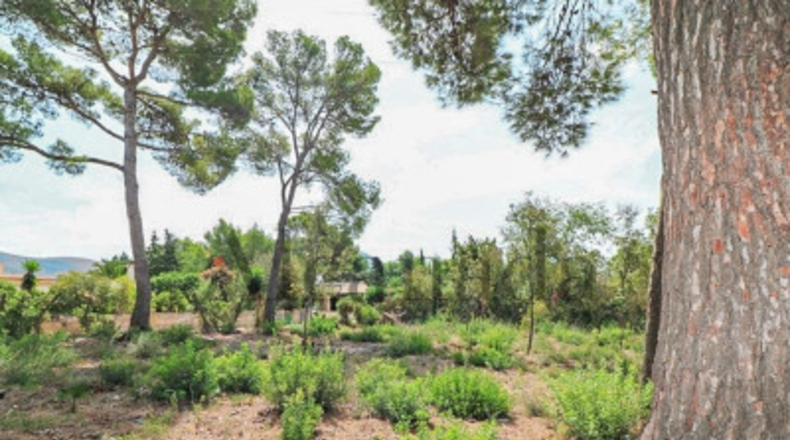 Balearic Islands - Alcudia - 1004m2