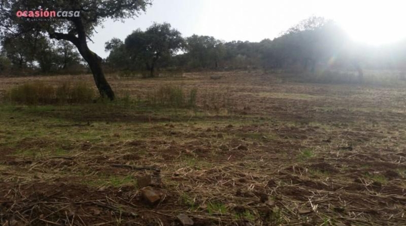 Córdoba - Santa Eufemia - 844000m2
