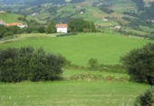 Non-developable land for sale on España, Aya, ref: TR115991 photo