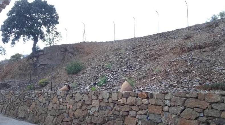 Málaga - Almogía - 120000m2